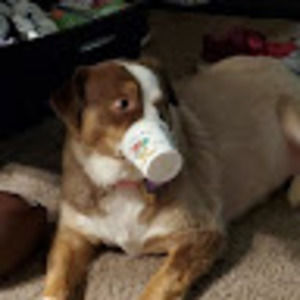 Meet your Posher, Todd